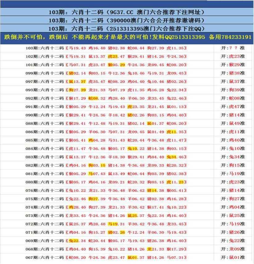 澳门18码精准100%,数据整合方案实施_投资版121,127.13