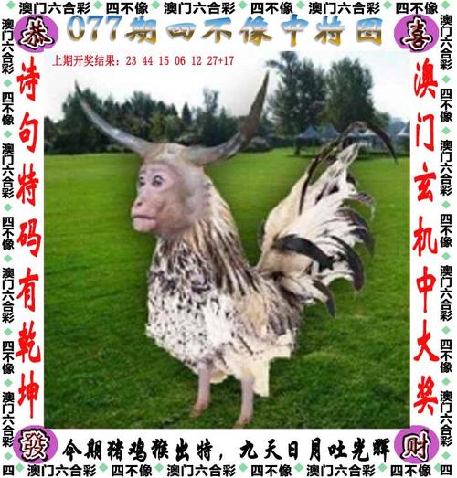 2025新澳门天天开好彩大乐透开奖号码和俄一桥梁被炸坍塌与俄罗斯桥梁坍塌
