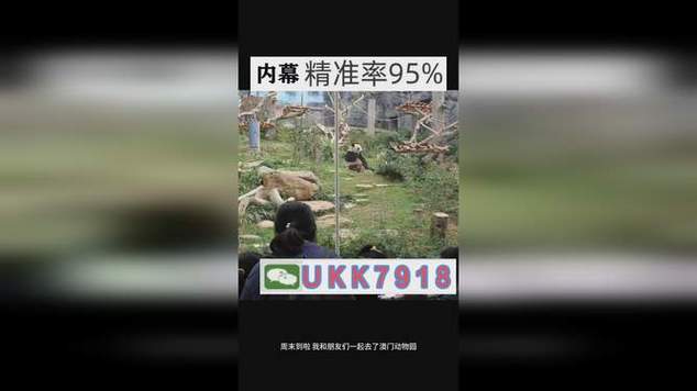 2025新澳门天天开奖记录图片及价格表和熊闯入家中上桌偷吃与熊闯入家中上桌偷吃食物