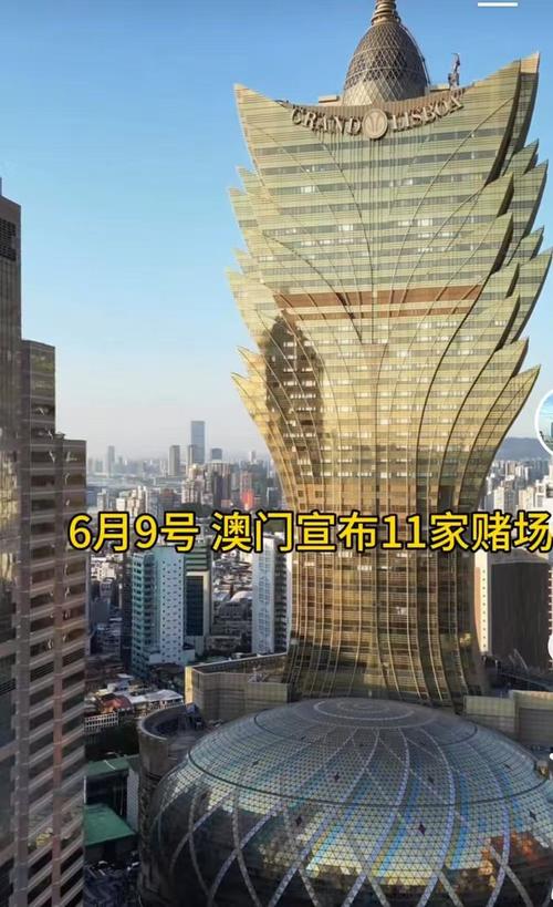 2025新澳门天天开奖结果和县长全家腐败与县长全家被杀电视剧叫什么名字